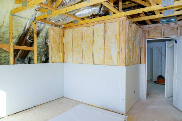 Best Insulation Contractor Near Me  in Newton Falls, OH