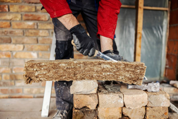 Best Home Insulation Services  in Newton Falls, OH