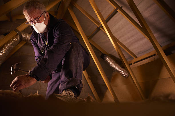 Best Insulation Repair Services  in Newton Falls, OH