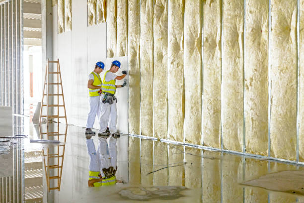 Best Commercial Insulation Contractor  in Newton Falls, OH